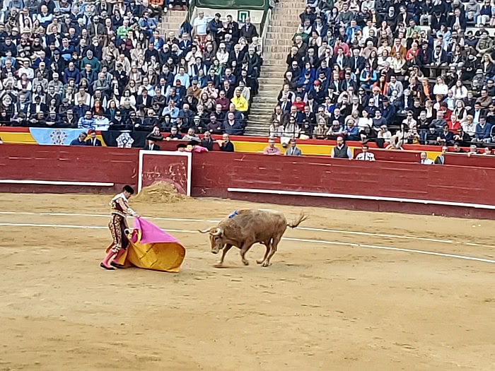 toros