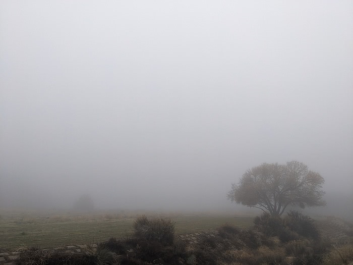 foggy day